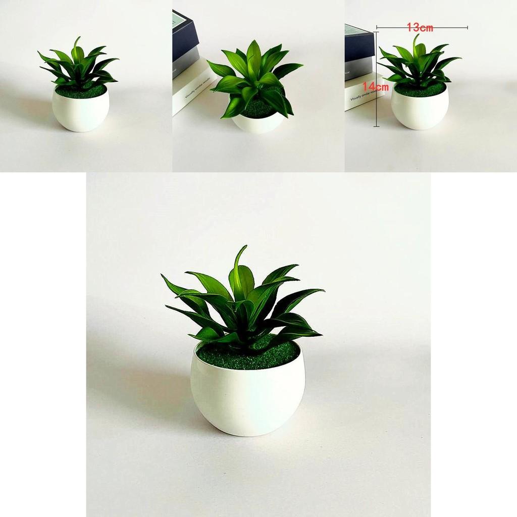 Fake Sinocrassula Indica Plant Pot With Pvc Material For Home Decor And Photography Props