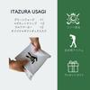 ITAZURA USAGI Golf Golf Marker Green Fork with Competition Prize Box & (Silver)