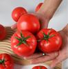 5pcs Simulation Red Tomato Model Lifelike Foam Vegetable Props Kitchen Ornaments Window Display Sample Fake Fruit Photog Props