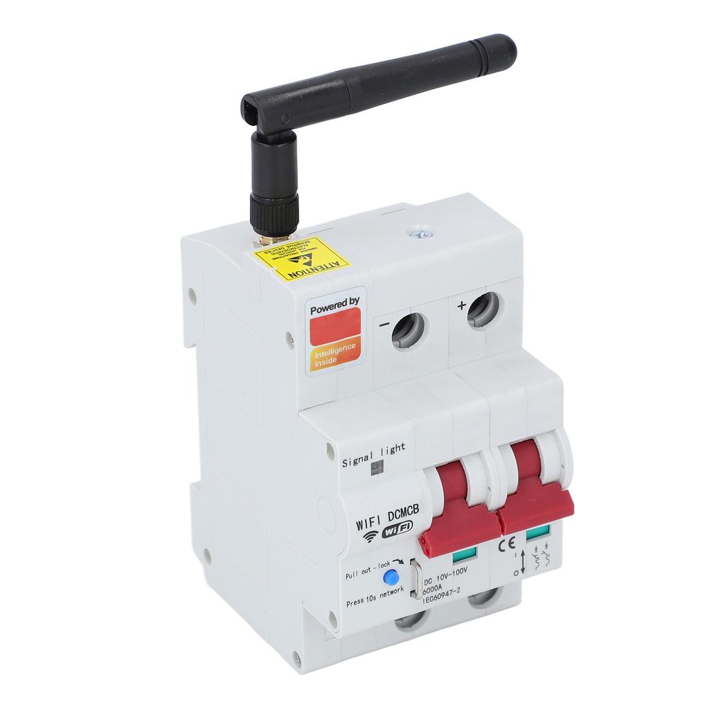 Smart DC Circuit Breaker 2P APP Control Voice Control WiFi Circuit Breaker with Safety Lock DC10‑100V 80A