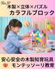 Rin.JP Tetris Wooden Puzzle, 3D Puzzle, Wooden Toy, Game, Montessori Educational Toy, Early Learning, Colorful Gift, Building Blocks, Learning Blocks