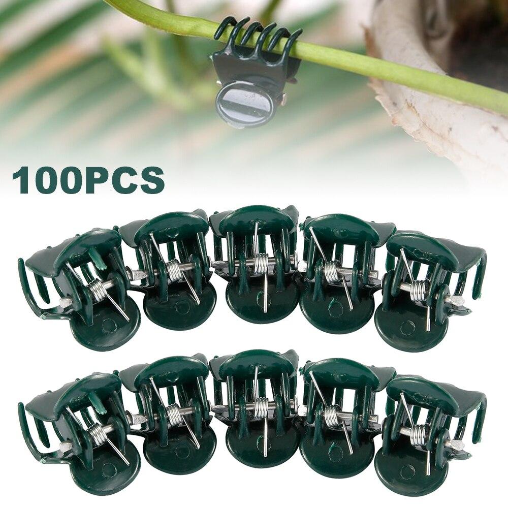 100pcs Garden Plant Clips Plastic Support Orchid Stem Clip for Vine Vegetables Flower Tied Bundle Branch Clamping Garden Tool