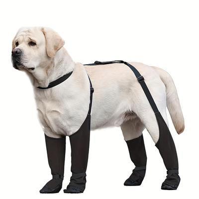 Giyim ve ayakkabı – Köpek ayakkabıları