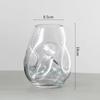 Nordic Style Irregular Glass Vase for Desktop Hydroponics