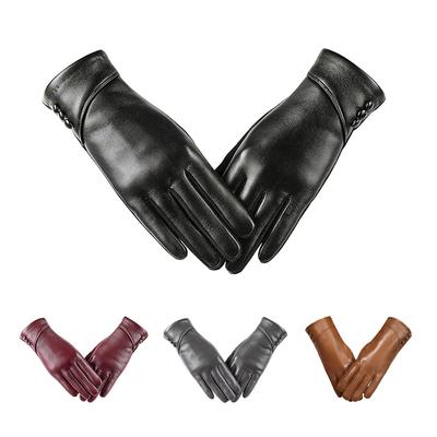 Accesorios – Guantes y manoplas