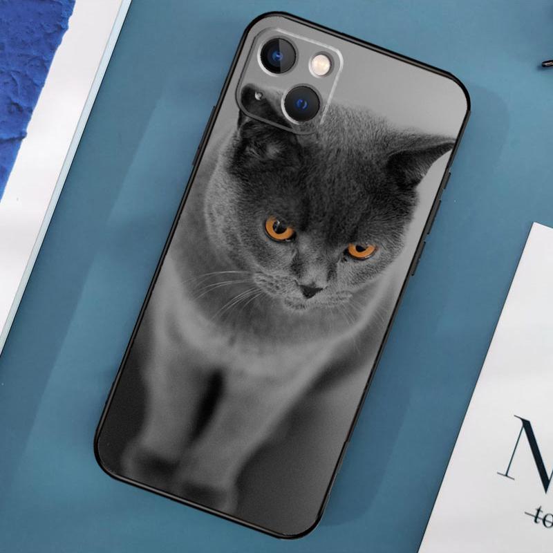 Etui z brytyjskim krótkowłosym kotem na iPhone'a 15 14 13 12 11 Pro Max XS X XR SE 2020 2022 7 8 Plus 12 13 Mini