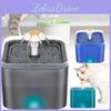 Dispensador de Água Colorido para Animais de Estimação Dream Island de 2L para Cães e Gatos com Pacote de Filtro