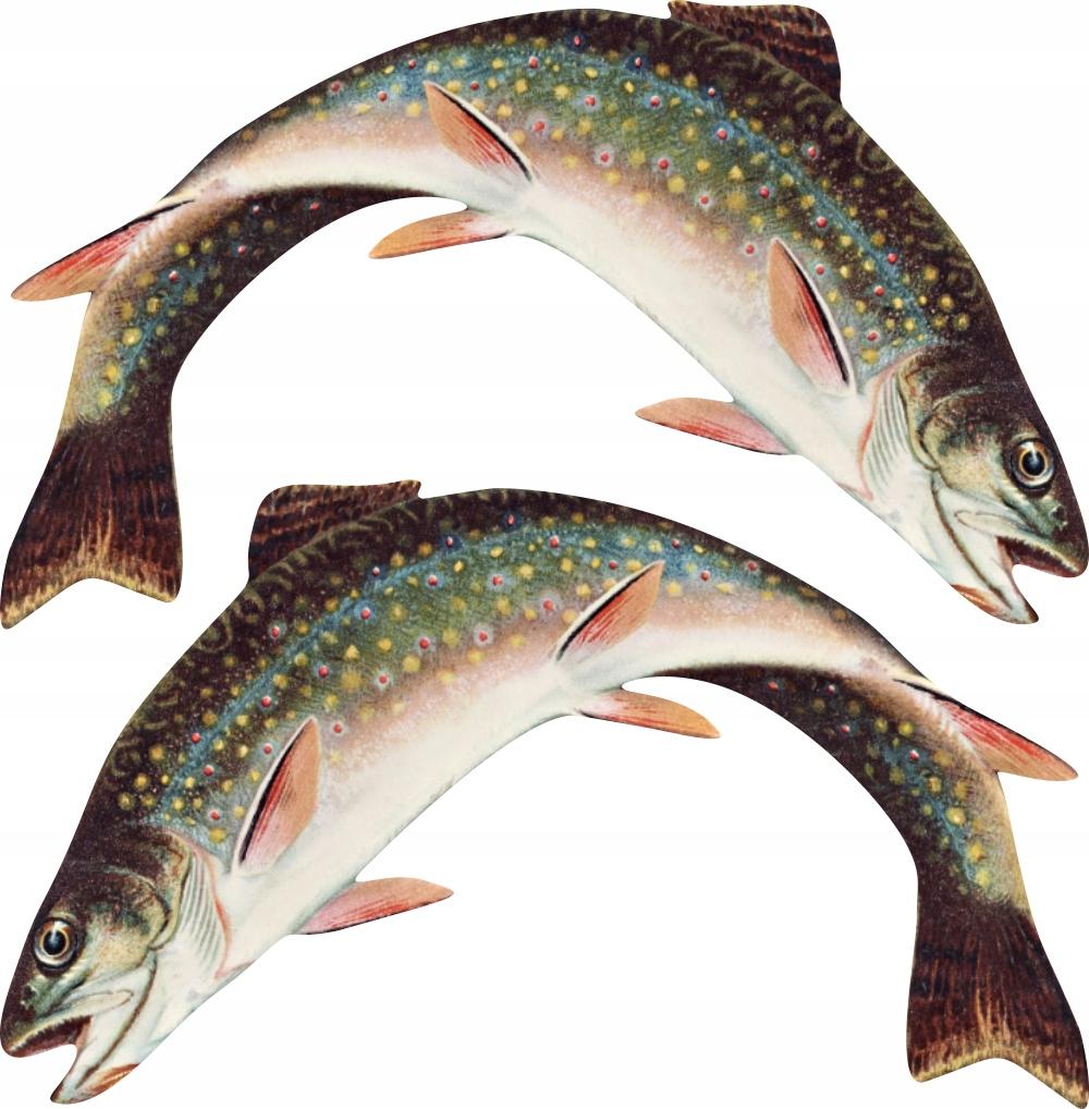 Boat Stickers - 2 x Trout