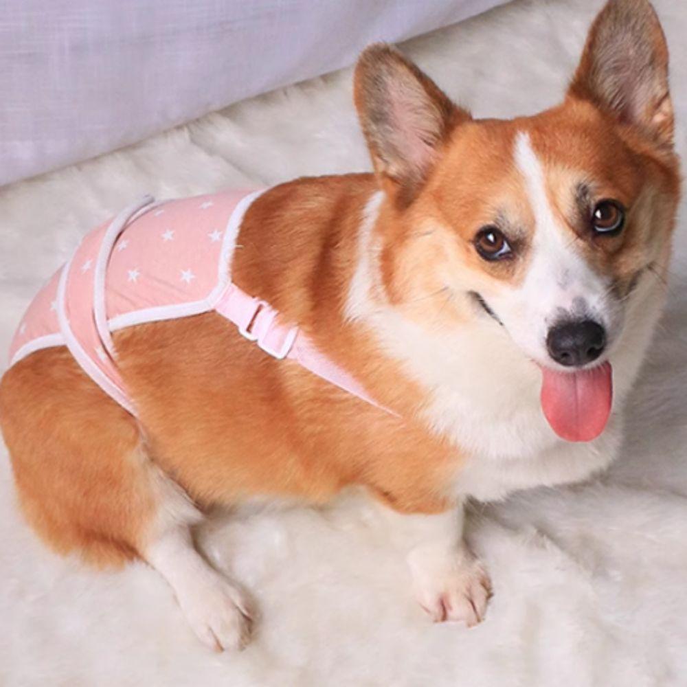 Soft Dog Sanitary Pantie Star Pattern Dog Menstruation Pant Female Dog Shorts  For Four Seasons