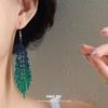Diamond feather long fringed ear hook light luxury high-end earrings European and American fashion niche temperament earrings women