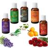 Exotic Aromas Essential Oil - Lavender oil, Lemongrass oil, Jasmine oil, Orange Oil, Rose oil (Pack of 5)