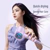 Silent High-Speed Negative Ion Hair Dryer for Home and Dorm Use