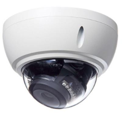 Cámara de red IP domo Full HD SolidCamera Viewla IPC-19