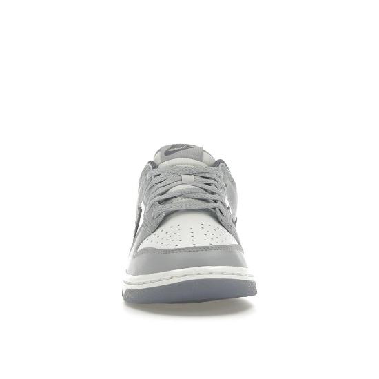 Nike Dunk Low SE Light Carbon Men Sneakers Grey FJ4188-100