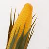 Food Artificial Vegetables