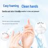 Walch Antibacterial Foaming Hand Wash