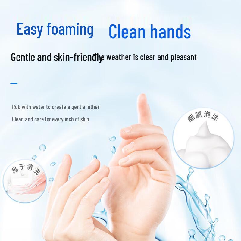 Walch Antibacterial Foaming Hand Wash