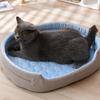 Pet Cooling Bed Summer Cats Bed Cats Dog Sleep Bed Indoor Sofa for Cats for Indoor Home & Travel Bed
