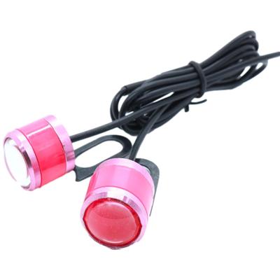 Rubonarie LED Strobe Light for Motorcycles, Waterproof, 12V, Set of 2 (Pink)