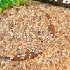 Natural Crystal Crushed Stones - Birthday Gift for Women, Potted Plant & Fish Tank Decor, Crystal Ornaments, Wishing Bottle