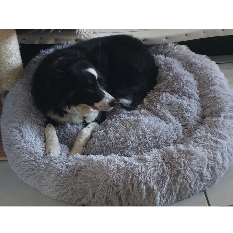 extra large dog cushion