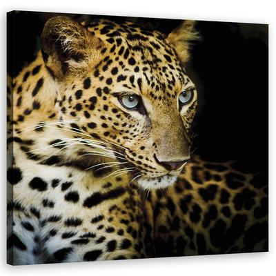 Canvas Print Majestic Leopard