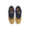 Nike Sb Dunk Low Pro Prm 90s Backpack DX6775-400