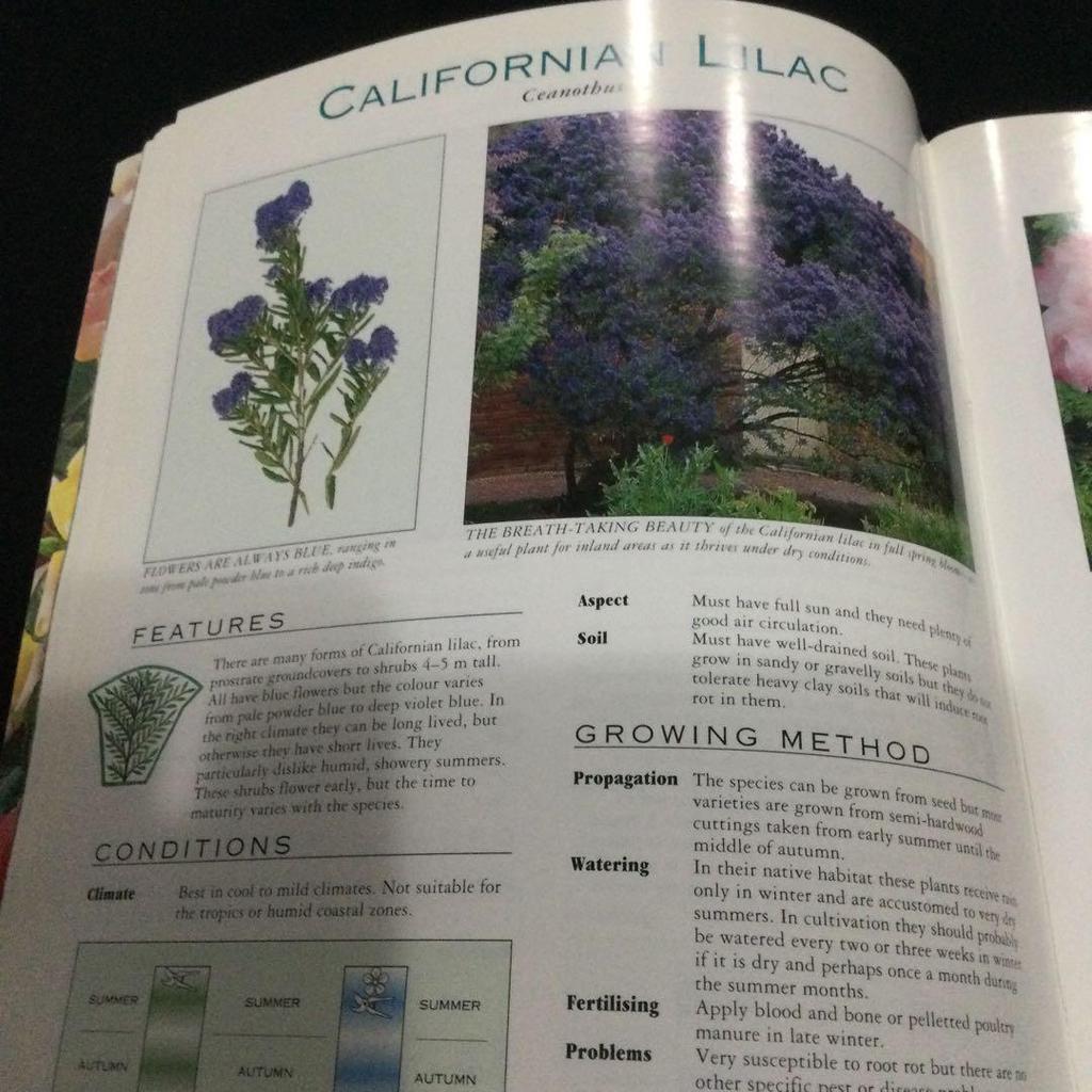 [USED] Flowers, plants, foreign books, illustrated guidebooks, guidebooks, Flowering shrubs