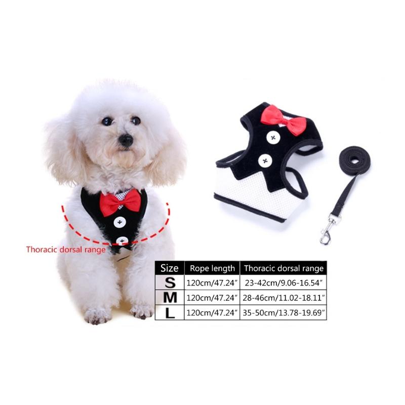 Dog Harness No Pull Small Pet Leashes Breathable Vest No Choke Harnesses 4 Feet Long Durable Leash for Small Dog