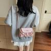Niche Bag Women's New Summer Fashion Versatile Chain Shoulder Messenger Bag Pleated Bag