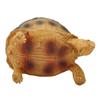 Tortoise Ornament Pet Animal Figurine Resin Home Decoration for Fish Tanl Aquarium