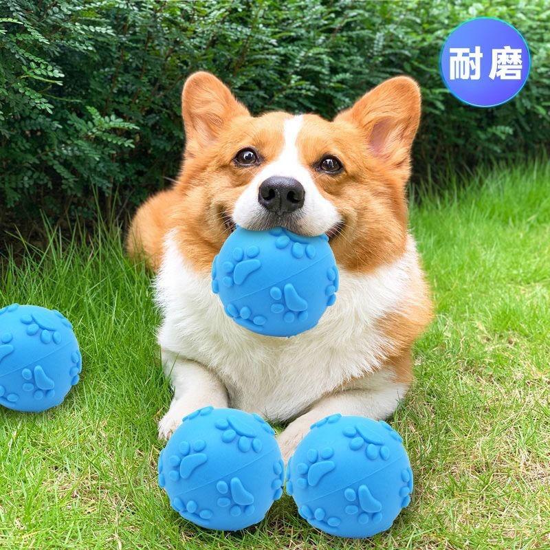Dog Squeaky Rubber Chew Ball For Dog Training And Interactive Play