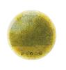 Youth Citrus+ Scrub MyIDi 300 Ml
