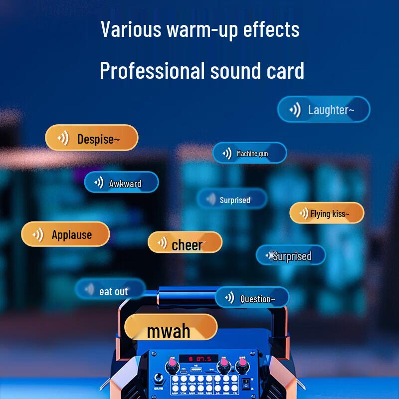 Newman K503 Portable Bluetooth Karaoke Speaker CN plug (adapter included)