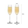 Shang Qi Handmade Champagne Flute Glasses