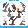 Cross-border Bird Model Toys: Kingfisher, Eagle, Woodpecker, Parrot, Toucan - Enhancing Children's Cognitive Skills