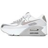 Air Max 90 LV8 Summit White Vast Grey Metallic Platinum College Grey Women's IB0170-101