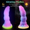 Luminous Silicone Anal Dildo Butt Plug with Suction Cup G Spot Clitoral Stimulator Prostate Massager Adult Sex Toys for Women