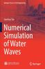 Kniha Numerical Simulation of Water Waves