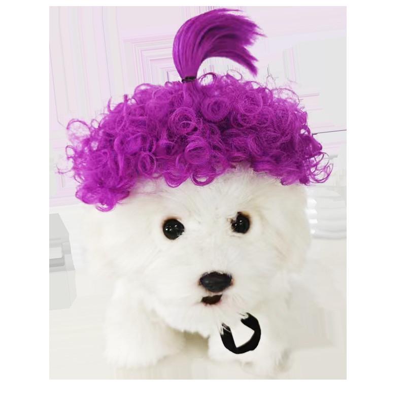Are 10 Here Suggested Titles For The Pet Wig Product Based On The Information Provided