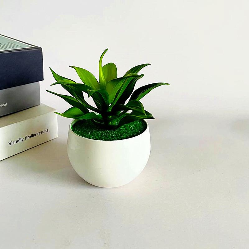 Artificial Sinocrassula Indica Potted Plant Succulent Plant For Home Decor