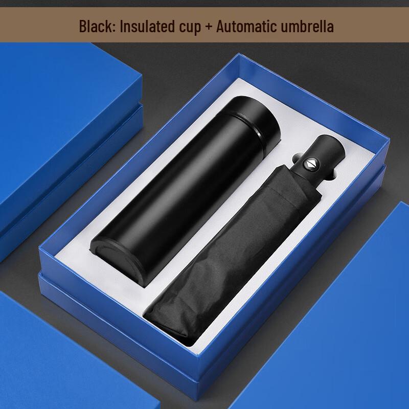 Insulated Glass Cup and Umbrella Gift Set