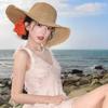 Vacation Idyllic Lafite Straw Hat Women's Seaside Beach Sun Protection Purple Line Big Brim Sun Hat New