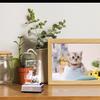 Popular birthday gift for and K9 Crystal Cat LED Light Base with USB women, mothers, wives, girlfriends. [Authentic] Charging.