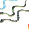12 Pièces Haute Simulation Jouet Modèle Serpent en Plastique Serpent Effrayant Amusant Jouets Farceurs pour Enfants