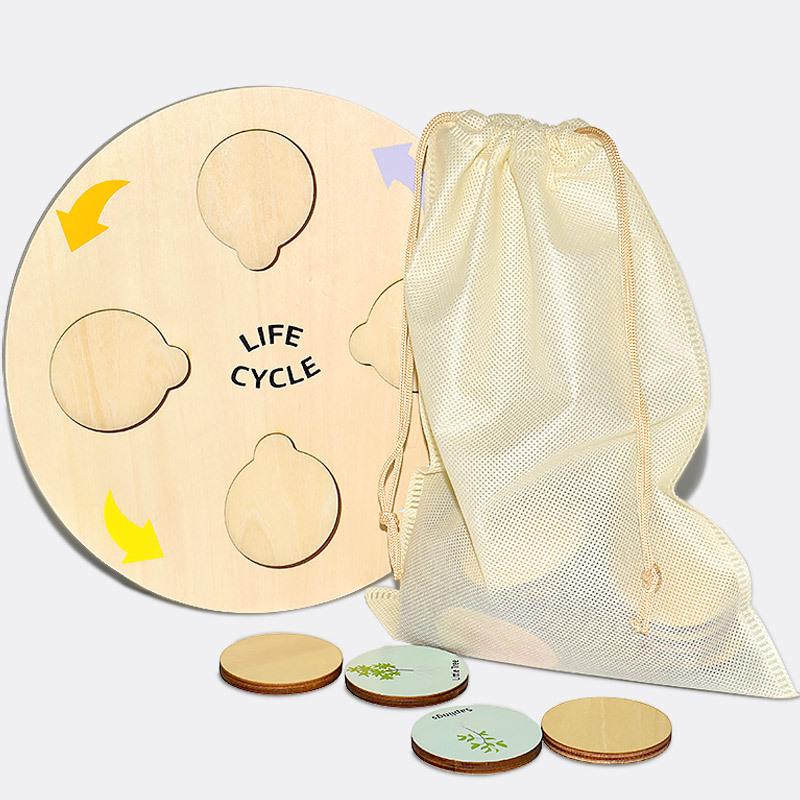 Wooden Educational Puzzle: Life Cycle Changes of Plants & Animals – Toddler Cognitive Growth Toy