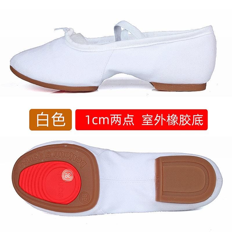 Mode Ballet Dansschoenen Dames Leraar Podium Trainingsschoenen Zachte Zool Pantoffels Meisjes Jazz Dansschoenen