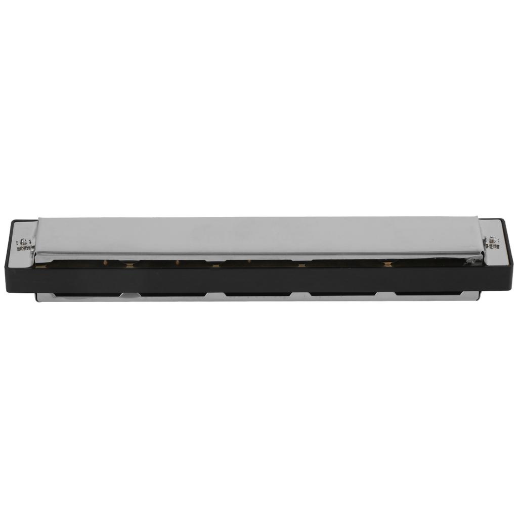 Harmonica D Key 24 Hole Playing Mouth Organ Wind Musical Instrument with Box Cloth