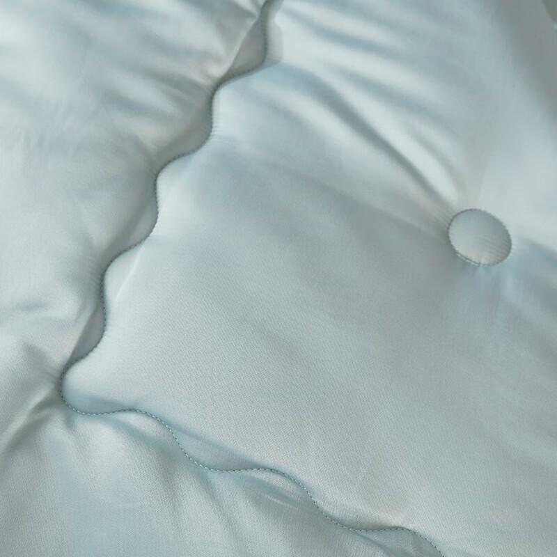 Donna Premium German Velvet Winter Duvet