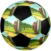 The Gruffalo Theme Size 5 Soccer Ball, Suitable for Both Indoor and Outdoor Matches, a Gift Suitable for Everyone.